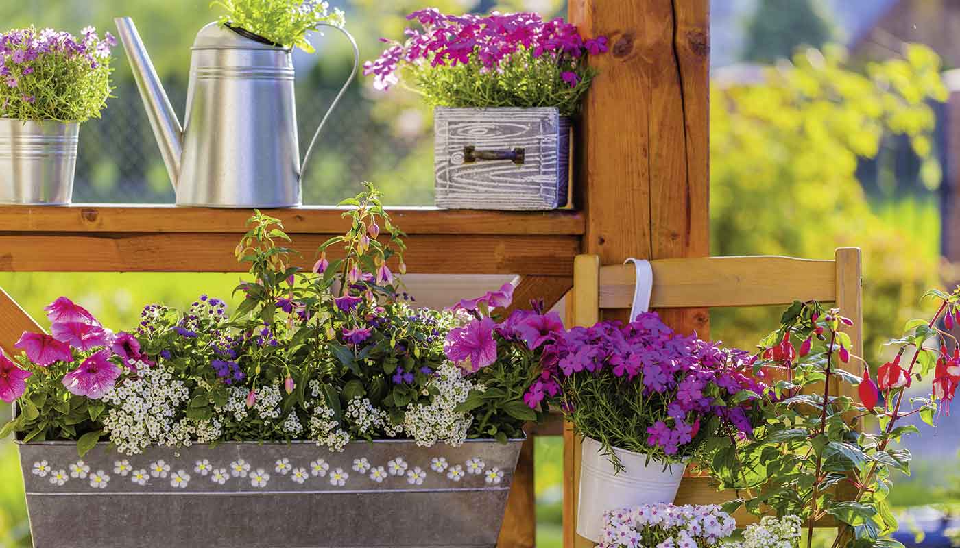 Beet und Balkon. Ihr Buntes Blumenparadies.