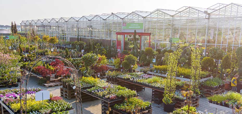 Stauden und Gehölze 1A Garten Zitzelsberger in Ingolstadt