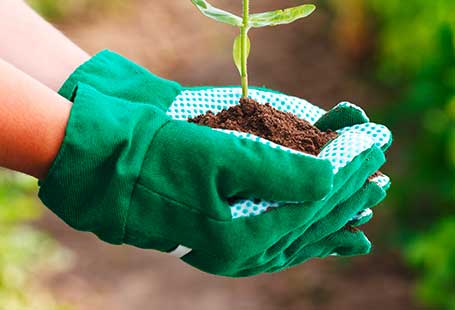 1a-garten-zitzelsberger-ingolstadt-gartencenter-zubehoer-handschuhe