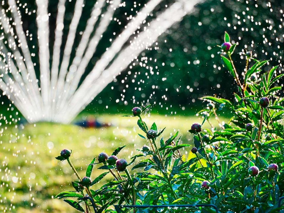 Rasensprenger | Bewässerungssystem | Gießen | 1A Garten Zitzelsberger in Ingolstadt