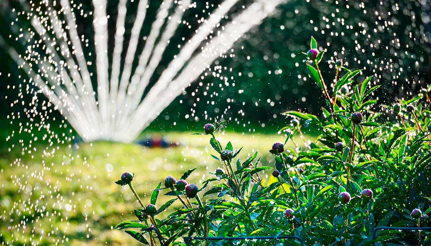 Rasensprenger | Bewässerungssystem | Gießen | 1A Garten Zitzelsberger in Ingolstadt