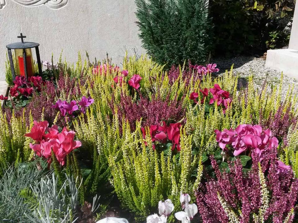 Herbstlich bepflanztes Grab in Rottönen mit Chrysanthemen und Stauden.