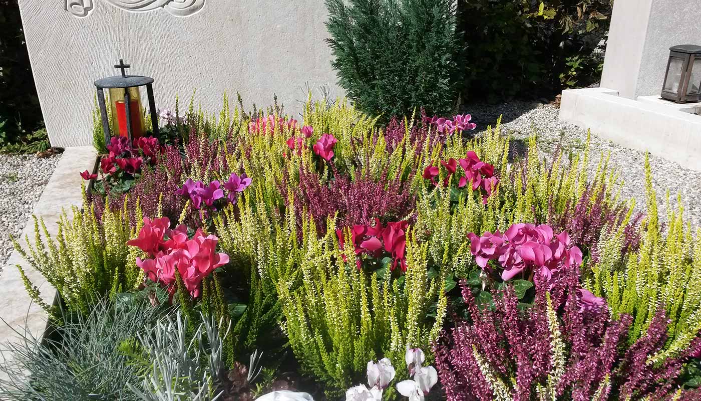 Herbstlich bepflanztes Grab in Rottönen mit Chrysanthemen und Stauden.