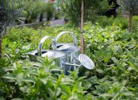 Gartencenter 1A Garten Zitzelsberger