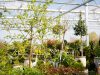 46+ 1A Garten Zitzelsberger, Im shop von 1a garten zitzelsberger