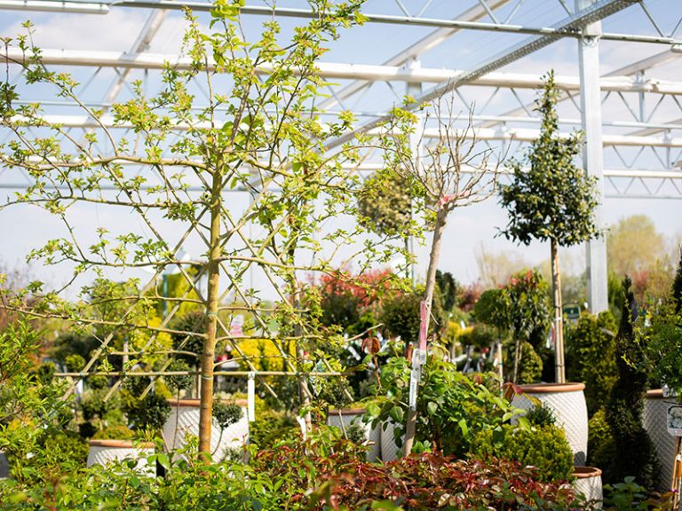 Gartencenter 1A Garten Zitzelsberger