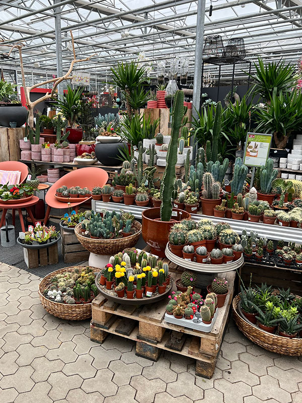 künstliches hühneraroma Wai Wai main image 1