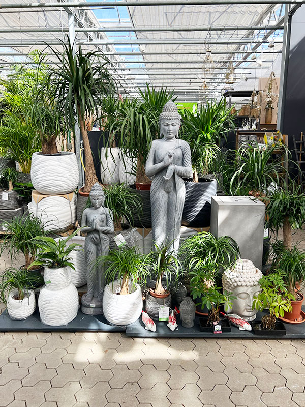 1A-garten-zitzelsberger-zimmerpflanzen-galerie-3