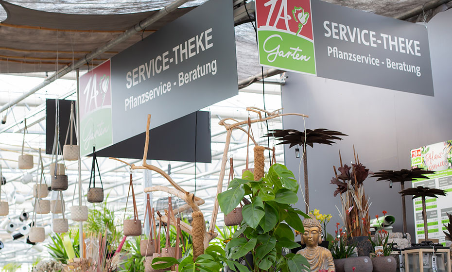 1A-garten-zitzelsberger-service-teaser-be-und-umpflanzservice