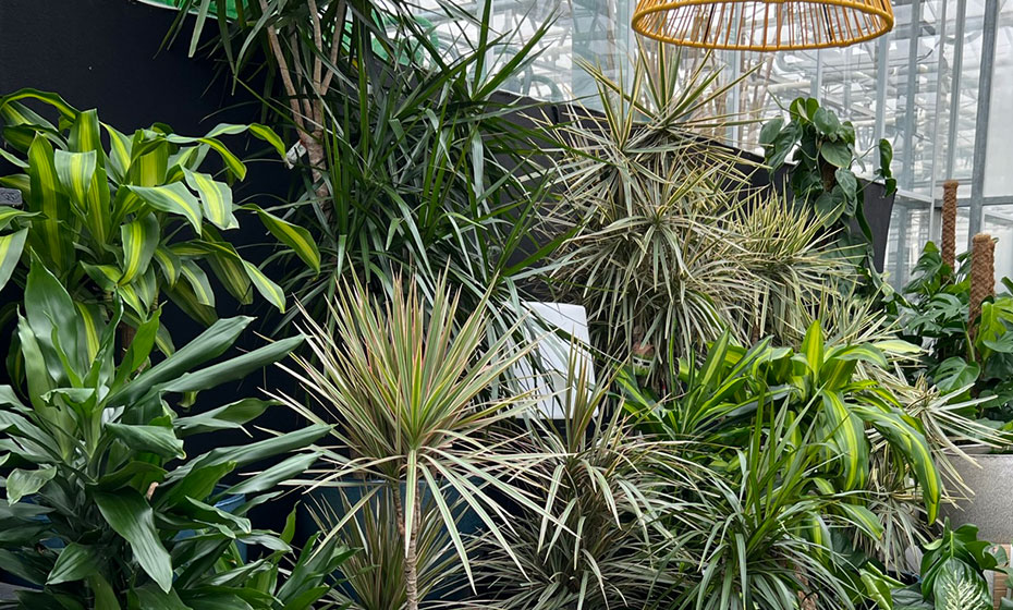 1A-garten-zitzelsberger-service-teaser-raumbegruenung